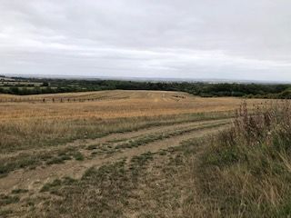 View of Cambridge from the Mare Way